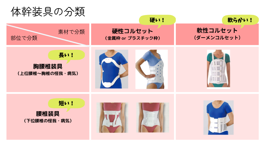 医療用から日常用まで!コルセットの種類と違いを徹底解説 | 装具ラボSTEPs